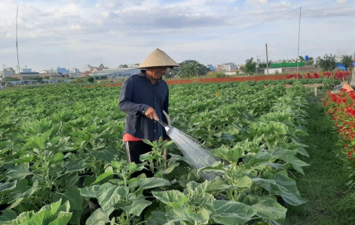 Nguồn lao động trong lĩnh vực nông nghiệp giảm mạnh