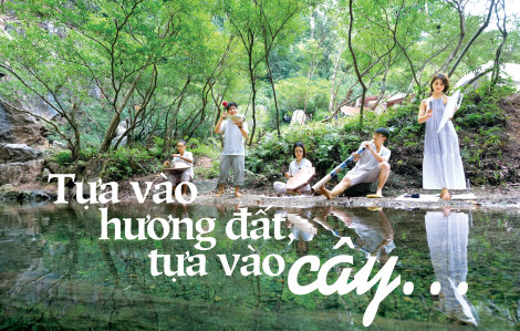 Tựa vào hương đất, tựa vào cây...