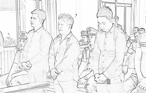 Lãnh án tù vì đưa người ra nước ngoài khai thác hải sản trái phép