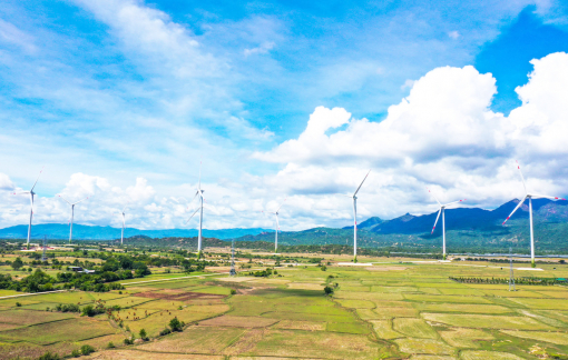 Việt Nam vững bước bay xa trong năm Giáp Thìn 2024