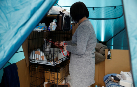 Nhật Bản: Người sống sót sau động đất đối mặt chặng đường dài để hồi phục