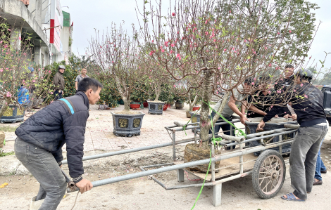 Nhọc nhằn nghề “chở tết” về nhà cho khách