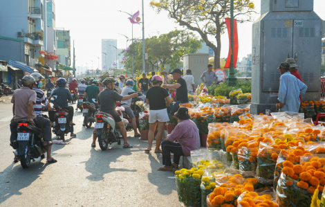 Tiểu thương bán cây chưng tết, người thấp thỏm lo lắng, người vui mừng