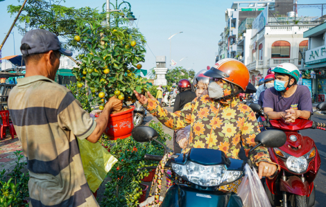 TPHCM tiếp tục "giải cứu" tiểu thương bán hoa tết