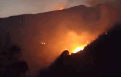 Cháy gần 25 ha rừng ở Sa Pa