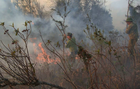 Lào Cai chỉ đạo tổ chức các biện pháp cấp bách phòng, chữa cháy rừng
