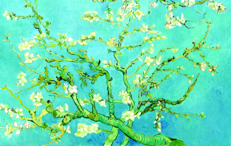 "Hoa hạnh nhân": Mùa xuân nở muộn của Van Gogh