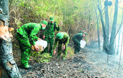 Huy động nguồn lực đa dạng bảo vệ “lá phổi xanh”