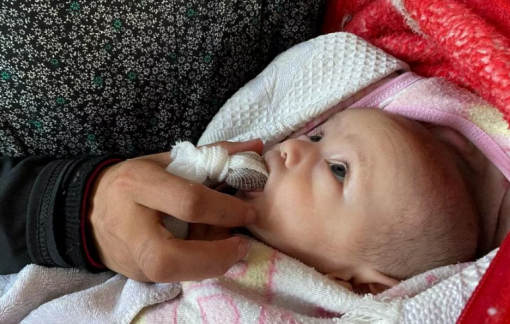 Trẻ em ở Dải Gaza ăn thức ăn của chim và lừa để sống sót