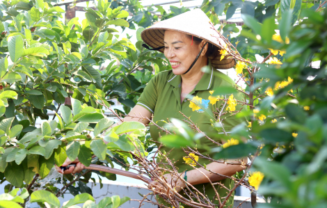 Lan tỏa những khu vườn xanh