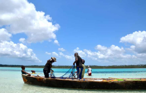 Nhiều trẻ em thiệt mạng sau khi ăn thịt rùa biển ở Zanzibar
