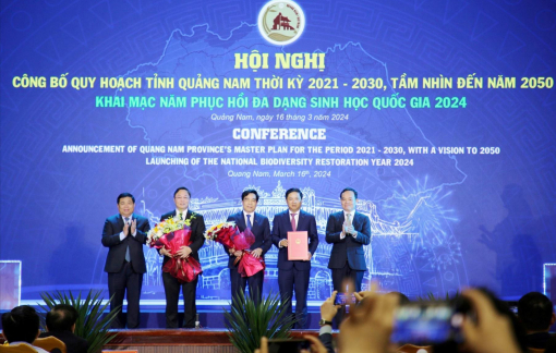 Quảng Nam: Phấn đấu đến năm 2050 là thành phố trực thuộc Trung ương