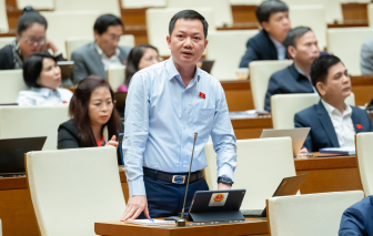 Đại biểu Quốc hội đề nghị làm rõ vì sao giá vé máy bay, điện càng lên doanh nghiệp càng lỗ