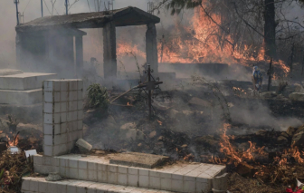 Mexico vật lộn với hàng trăm vụ cháy rừng