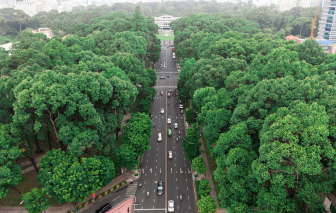 Những con đường rợp bóng cây xanh xoa dịu cái nắng cho người dân TPHCM