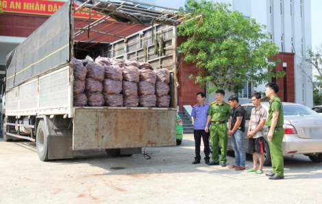 Nguỵ trang 1,4 tấn pháo hoa trên xe tải chở khoai lang