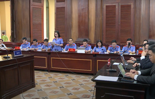 Viện Kiểm sát: “Trong lịch sử có nữ doanh nhân chiếm đoạt số tiền rất lớn”