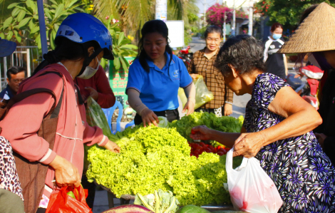 “Rau 0 đồng” sẻ chia với những mảnh đời khốn khó