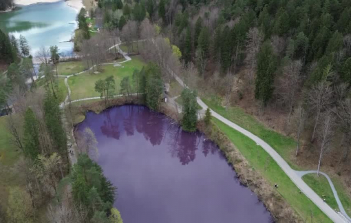 Hồ nước màu tím độc lạ tại Đức thu hút khách du lịch