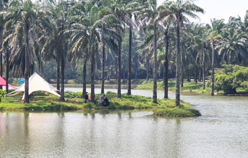 Mát mẻ công viên Cọ Dầu giữa Quảng Trị mùa nóng bức