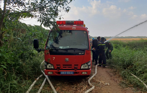 Điều tra nguyên nhân cháy rừng ở Cà Mau, xử lý nghiêm nếu có vi phạm