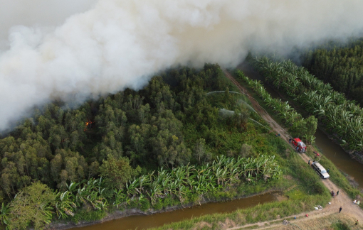 Cơ bản khống chế vụ cháy rừng tràm dữ dội ở Cà Mau