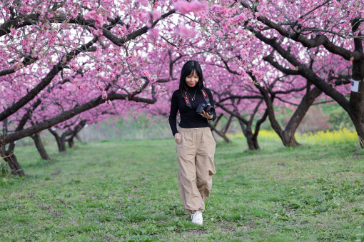 "Lạc lối" ở 10 điểm ngắm hoa đào đẹp nhất Fukushima, Nhật Bản
