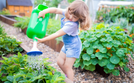 Những sai lầm khi tưới nước cho vườn rau