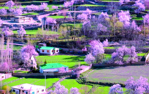 "Vườn địa đàng" Hunza