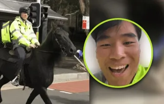 Chàng trai cưỡi ngựa ship hàng gây chú ý trên phố Sydney