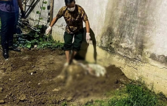 Hải Phòng: Thiếu nữ 15 tuổi bị sát hại, giấu xác trong vườn chuối