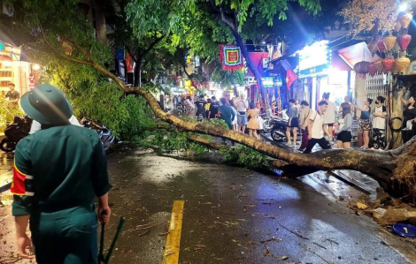 Hà Nội: Mưa lớn bất ngờ, nhiều cây lớn đổ gãy