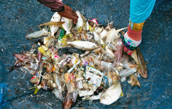 Trái đất đang bị bóp nghẹt vì rác thải nhựa