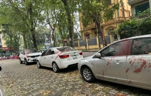 Hà Nội: Hàng loạt ô tô bị tạt sơn đỏ