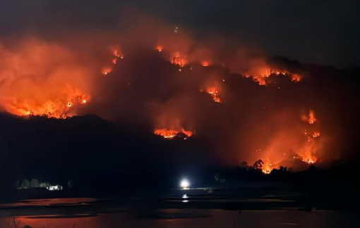 Cháy rừng ở An Giang
