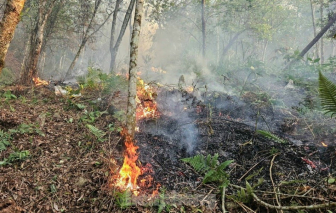 2 cán bộ kiểm lâm tử nạn khi chữa cháy rừng ở Hà Giang