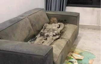 "Cô đơn trên sofa"