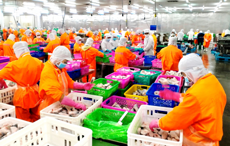 Việt Nam vững vàng phát triển nền kinh tế thị trường