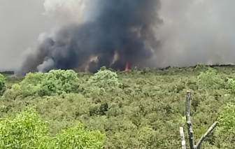 Kiên Giang: Nỗ lực khống chế đám cháy rừng tràm ở huyện biên giới Giang Thành