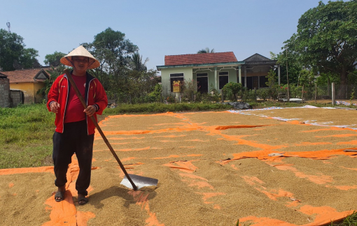 Quảng Trị nóng 43 độ C, 4g chiều ra đường vẫn bỏng rát