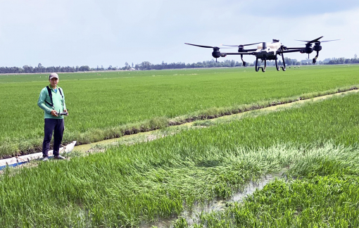 Nông dân miền Tây hào hứng làm lúa chất lượng cao, phát thải thấp, tăng trưởng xanh