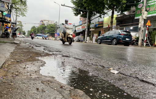 Bộ Công an yêu cầu Quảng Ngãi cung cấp hồ sơ những dự án trồng, chăm sóc cây xanh đô thị