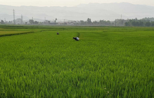 Lịch sử luôn sống trong lòng nhân dân