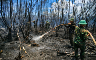 Kiên Giang: 36 vụ cháy rừng, thiệt hại 402ha