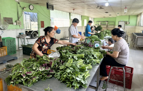 Không thể thu bạc lẻ trên “đất vàng”