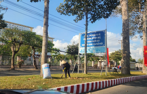 Bộ Công an yêu cầu Vĩnh Long, Trà Vinh cung cấp hồ sơ chăm sóc cây xanh