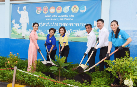 Quận 10 trồng cây bàng vuông do cán bộ, chiến sĩ đảo Trường Sa tặng