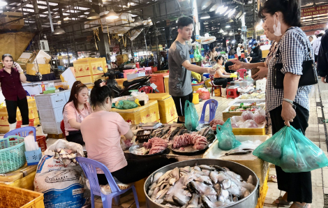 Mua cá thát lát coi chừng nhận cá nàng hai