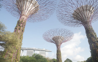 Bí mật vườn cây năng lượng của Singapore