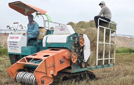 Nông dân “hốt bạc” nhờ thu gom rơm